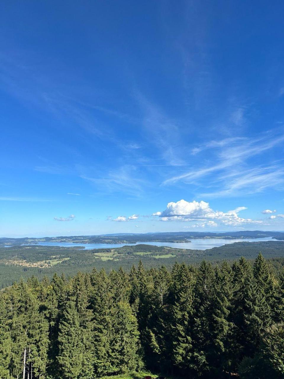 Apartment Lipno Lake House Predni Vyton