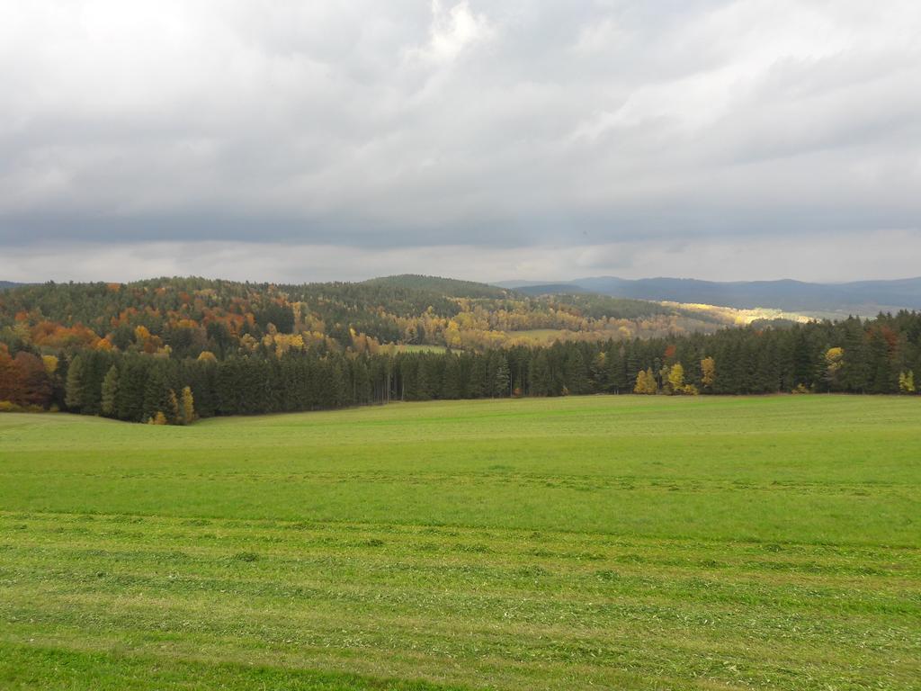 Lipno Lake House Apartment Predni Vyton